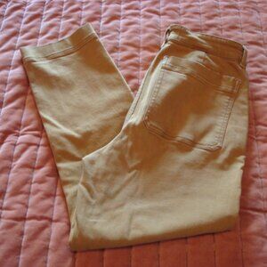 Everlane 10 tan/gold cropped slim straight leg, soft, carhartt vibes